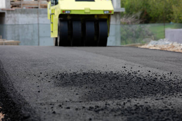 Best Professional Driveway Pavers  in Black Diamond, FL
