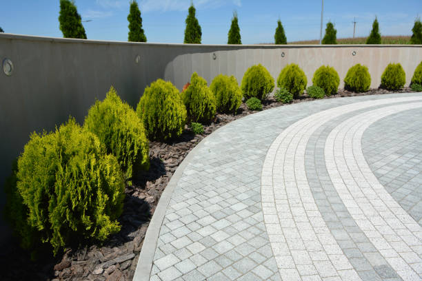 Decorative Driveway Pavers in Black Diamond, FL